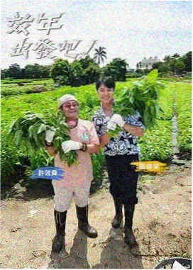 郑艳丽综艺节目实录封面