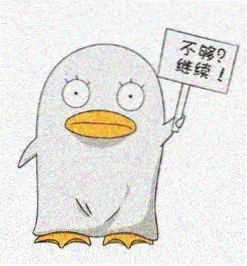 主编头像