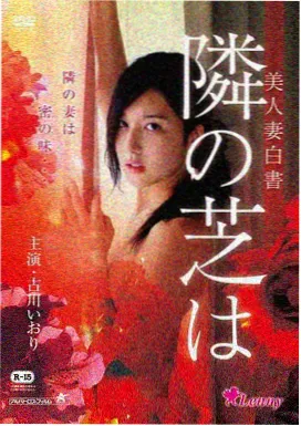 旧梦不须记海报